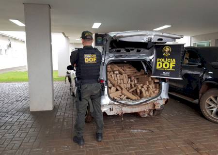 DOF apreende três veículos com queixa de roubo e carregados com mais de 3,5 toneladas de maconha